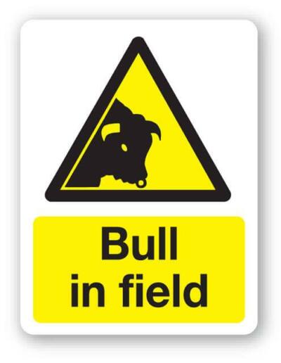 Bull In Field Sign
