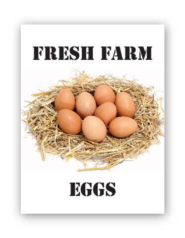 Fresh Farm Eggs Produce Board