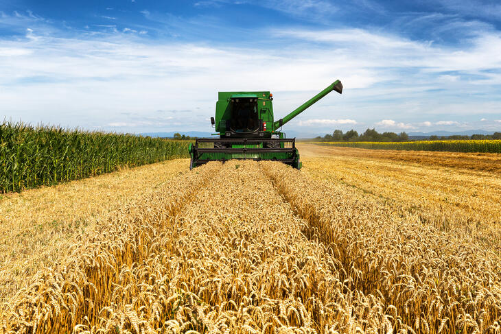 Harvest time safety