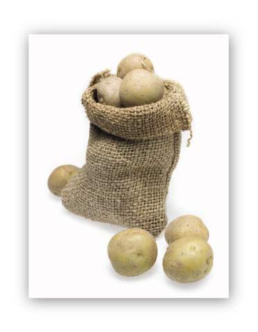 Potatoes Produce Board