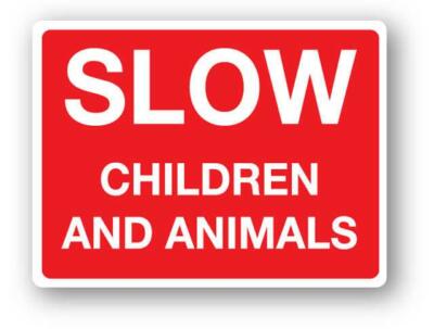 Slow Children And Animals