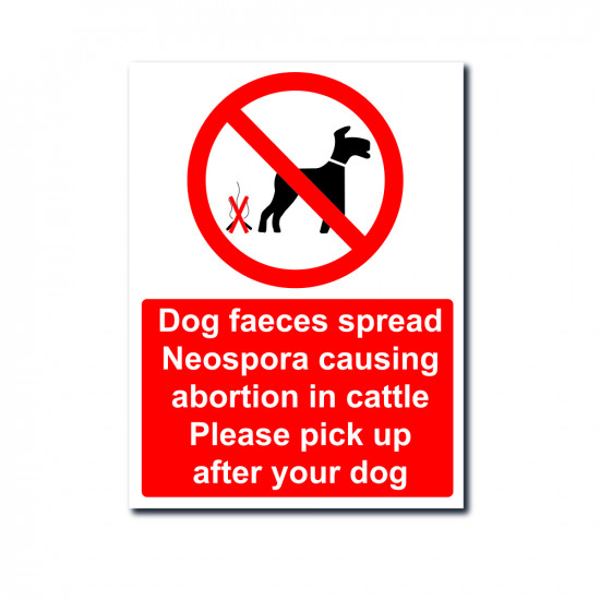 Dog feaces spread neospora